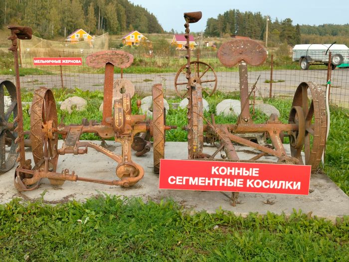 Индивидуальный тур на шхеры Ладожского озера: остров Кильпола